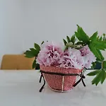 Zajim Apartmán Umag