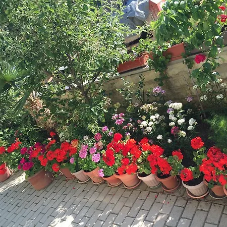 Appartamento Zajim